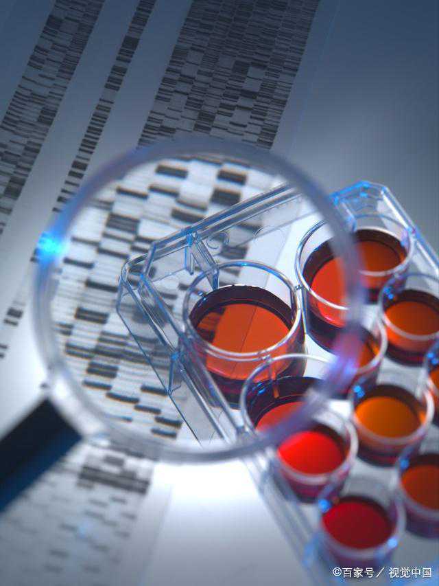 黑色素干细胞“卡住不动”导致毛发变白