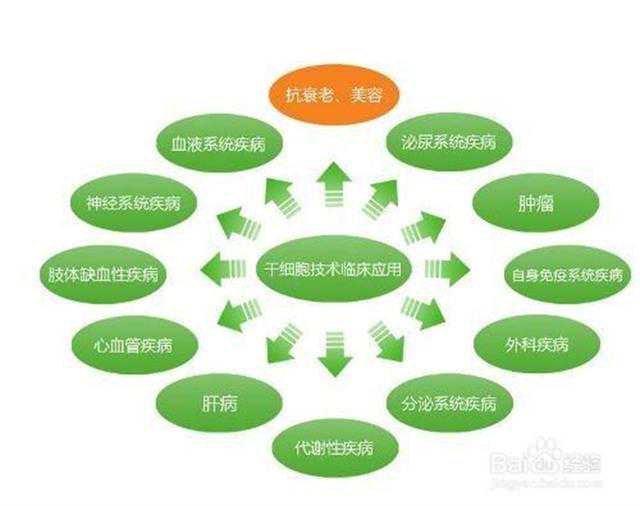 十年磨一剑，细胞复健科技品牌SRW新品重磅发布