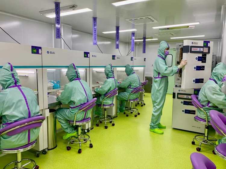 中药对造血细胞的作用