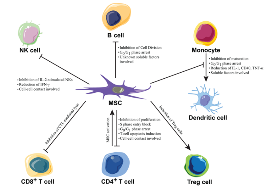 人和环境:补充法律意见书1