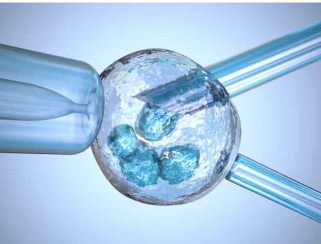 崇明青年造血干细胞采集志愿者行动全城招募中